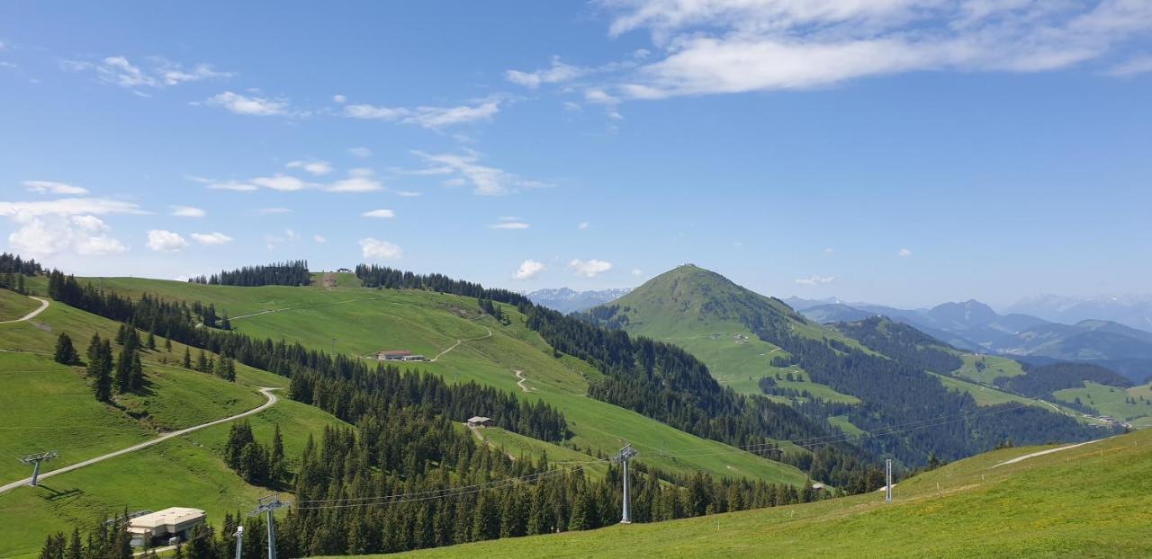 Ferienwohnung Sappl Scheffau am Wilden Kaiser Zewnętrze zdjęcie
