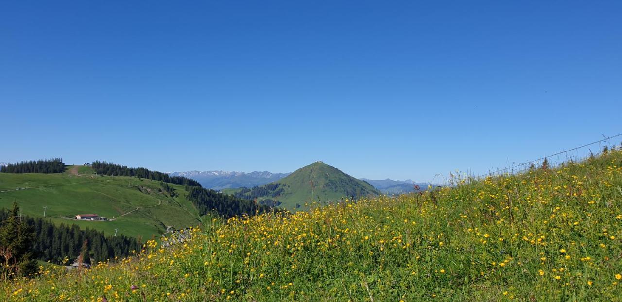 Ferienwohnung Sappl Scheffau am Wilden Kaiser Zewnętrze zdjęcie