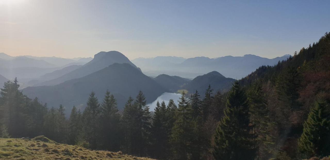 Ferienwohnung Sappl Scheffau am Wilden Kaiser Zewnętrze zdjęcie