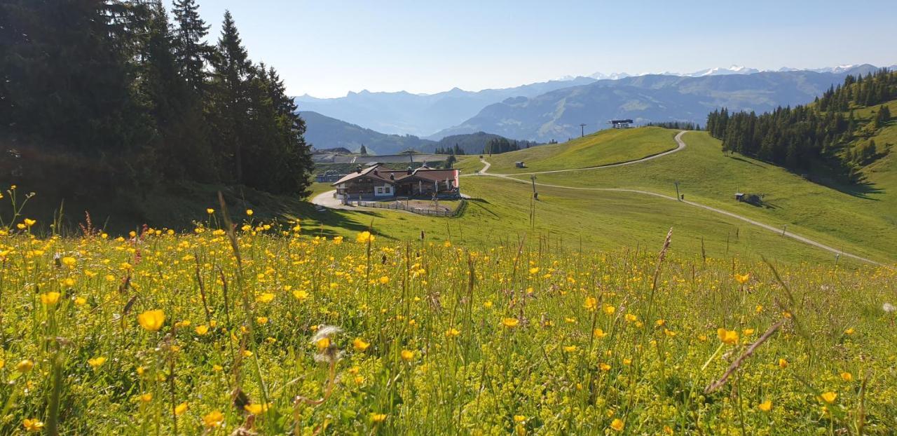 Ferienwohnung Sappl Scheffau am Wilden Kaiser Zewnętrze zdjęcie