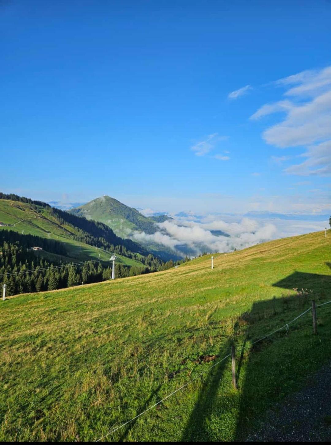 Ferienwohnung Sappl Scheffau am Wilden Kaiser Zewnętrze zdjęcie