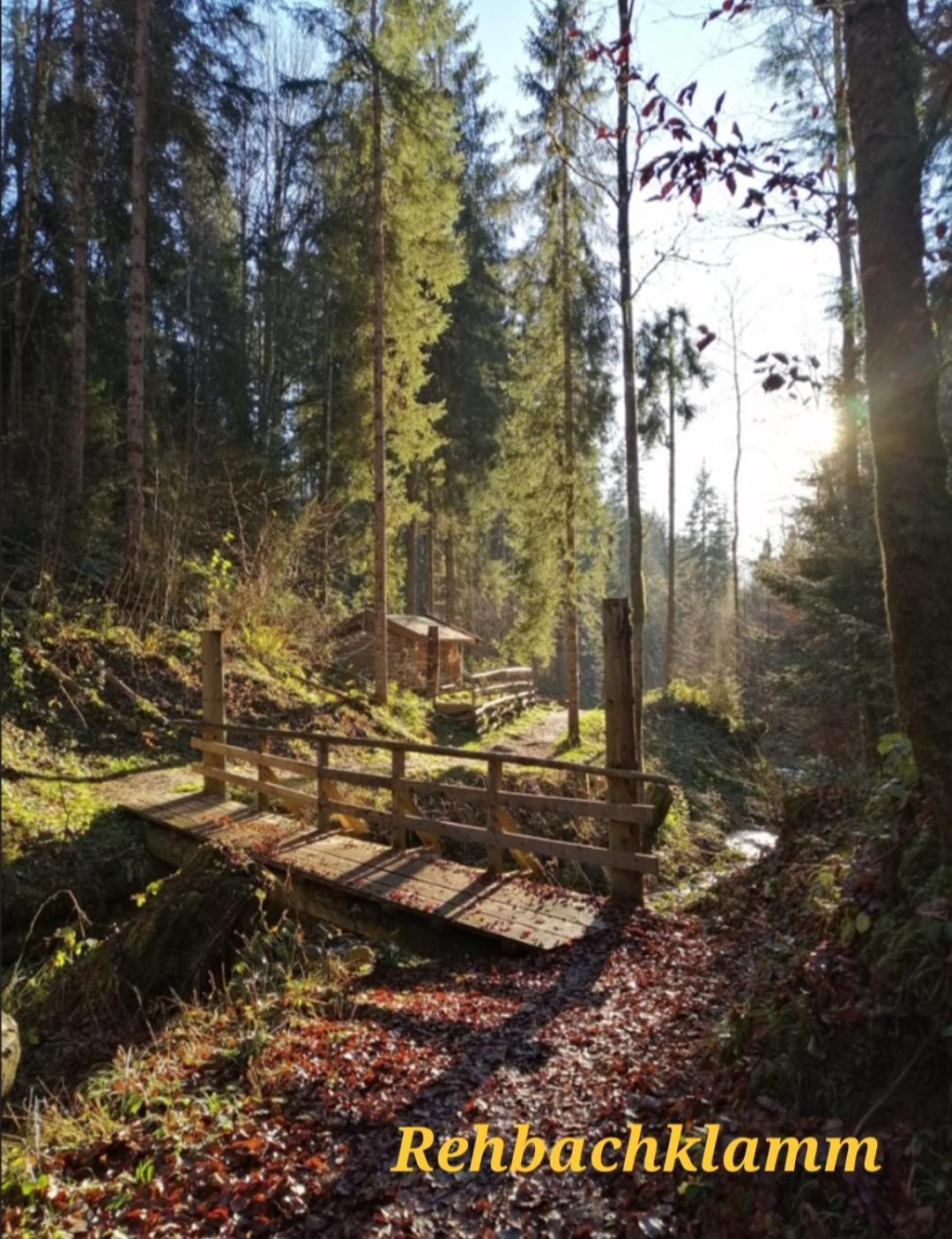 Ferienwohnung Sappl Scheffau am Wilden Kaiser Zewnętrze zdjęcie